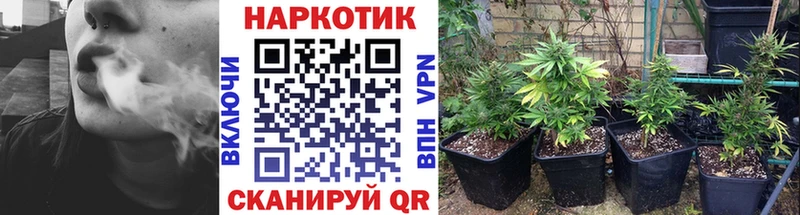 Где найти наркотики Воркута ГАШ  Кокаин  NBOMe  Конопля  Галлюциногенные грибы  МЕФ  A PVP 